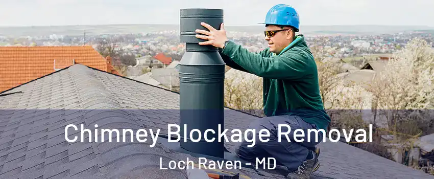 Chimney Blockage Removal Loch Raven - MD