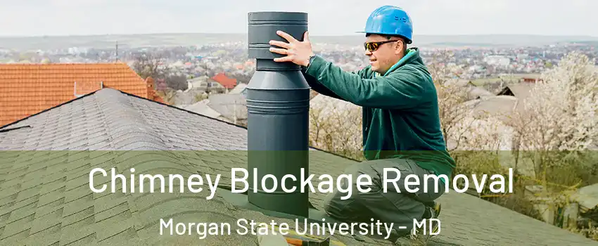 Chimney Blockage Removal Morgan State University - MD