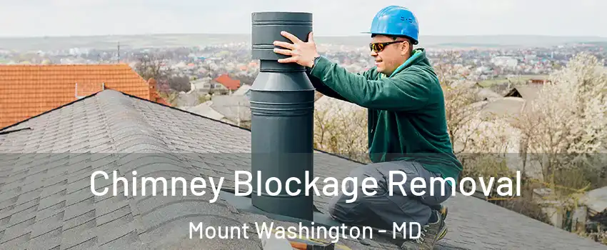 Chimney Blockage Removal Mount Washington - MD