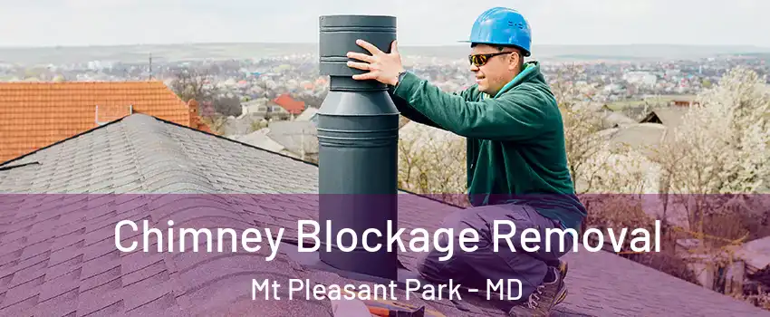 Chimney Blockage Removal Mt Pleasant Park - MD