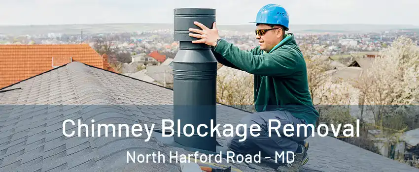 Chimney Blockage Removal North Harford Road - MD