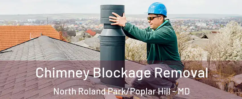 Chimney Blockage Removal North Roland Park/Poplar Hill - MD