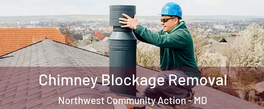 Chimney Blockage Removal Northwest Community Action - MD
