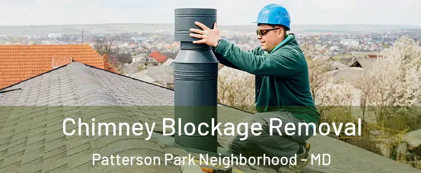 Chimney Blockage Removal Patterson Park Neighborhood - MD