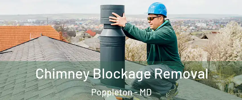 Chimney Blockage Removal Poppleton - MD