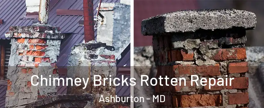 Chimney Bricks Rotten Repair Ashburton - MD