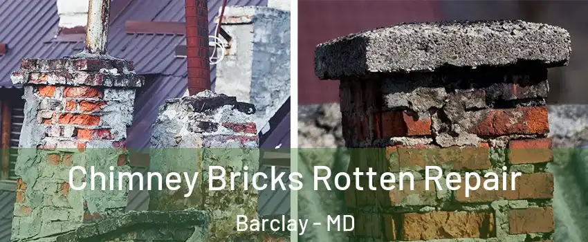 Chimney Bricks Rotten Repair Barclay - MD