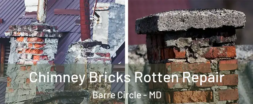 Chimney Bricks Rotten Repair Barre Circle - MD
