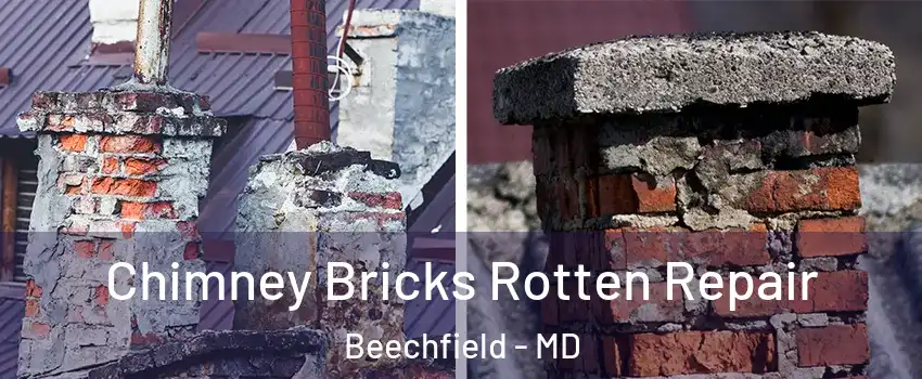 Chimney Bricks Rotten Repair Beechfield - MD