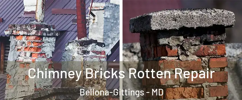 Chimney Bricks Rotten Repair Bellona-Gittings - MD