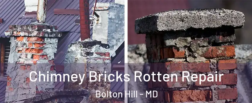 Chimney Bricks Rotten Repair Bolton Hill - MD