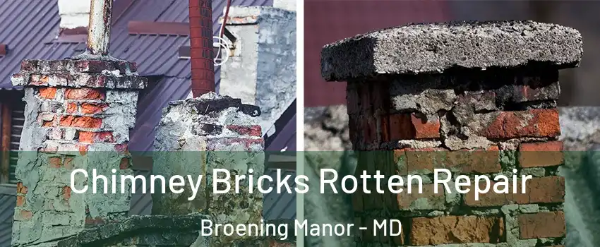 Chimney Bricks Rotten Repair Broening Manor - MD