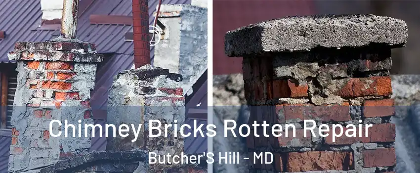 Chimney Bricks Rotten Repair Butcher'S Hill - MD