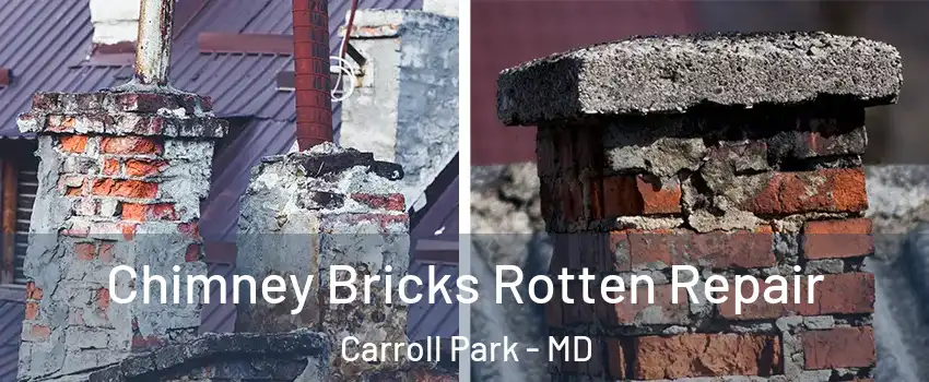 Chimney Bricks Rotten Repair Carroll Park - MD