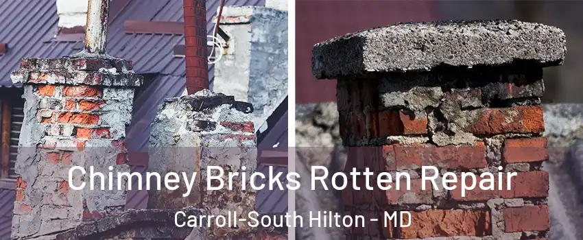 Chimney Bricks Rotten Repair Carroll-South Hilton - MD