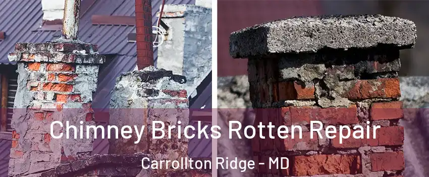 Chimney Bricks Rotten Repair Carrollton Ridge - MD