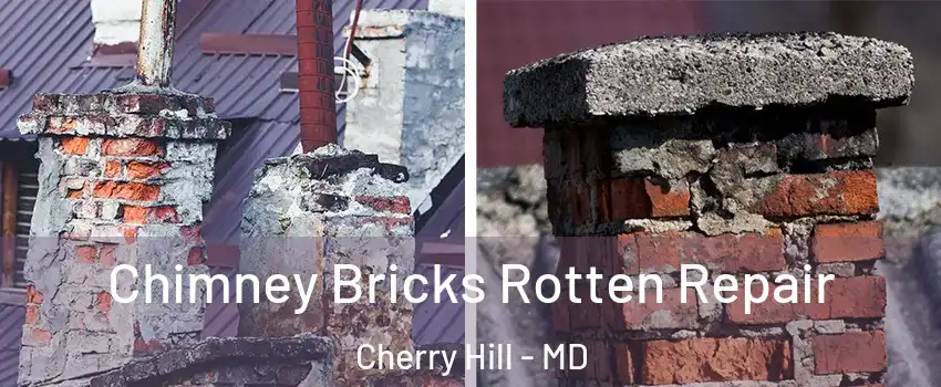 Chimney Bricks Rotten Repair Cherry Hill - MD