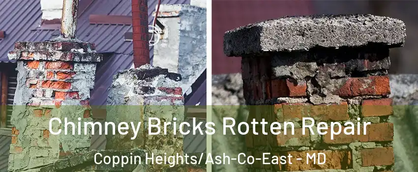 Chimney Bricks Rotten Repair Coppin Heights/Ash-Co-East - MD