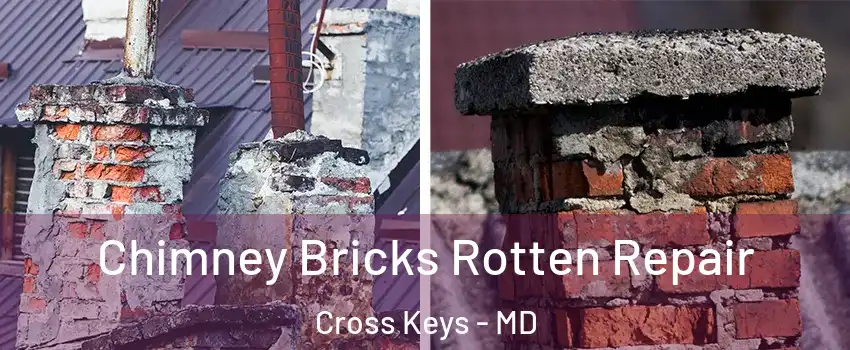 Chimney Bricks Rotten Repair Cross Keys - MD