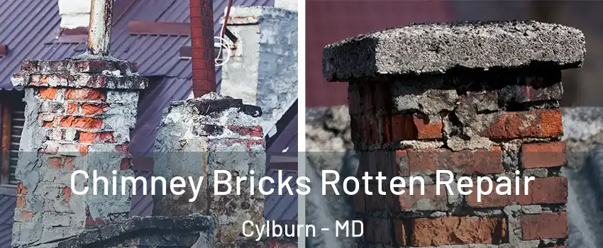 Chimney Bricks Rotten Repair Cylburn - MD