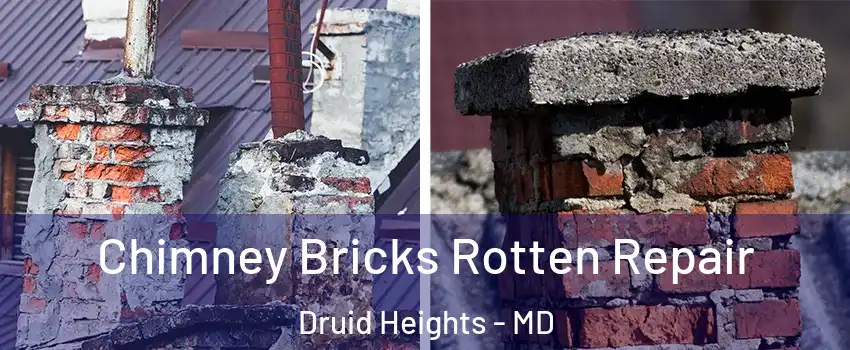 Chimney Bricks Rotten Repair Druid Heights - MD