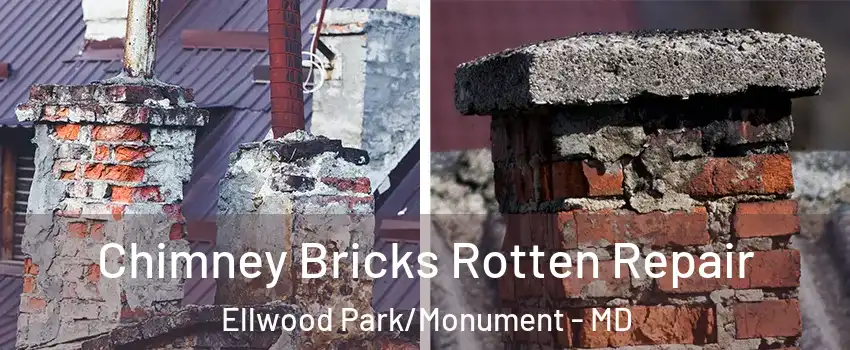 Chimney Bricks Rotten Repair Ellwood Park/Monument - MD