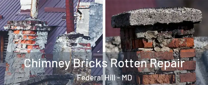 Chimney Bricks Rotten Repair Federal Hill - MD