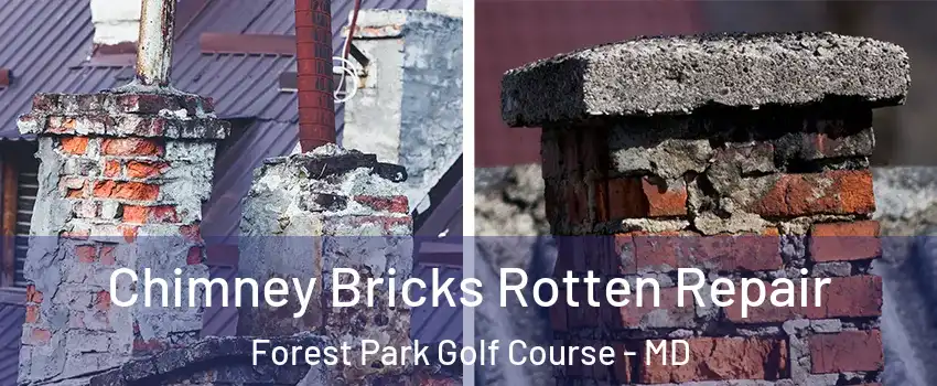 Chimney Bricks Rotten Repair Forest Park Golf Course - MD