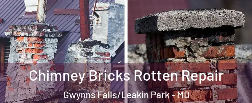 Chimney Bricks Rotten Repair Gwynns Falls/Leakin Park - MD