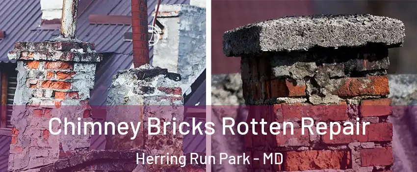 Chimney Bricks Rotten Repair Herring Run Park - MD