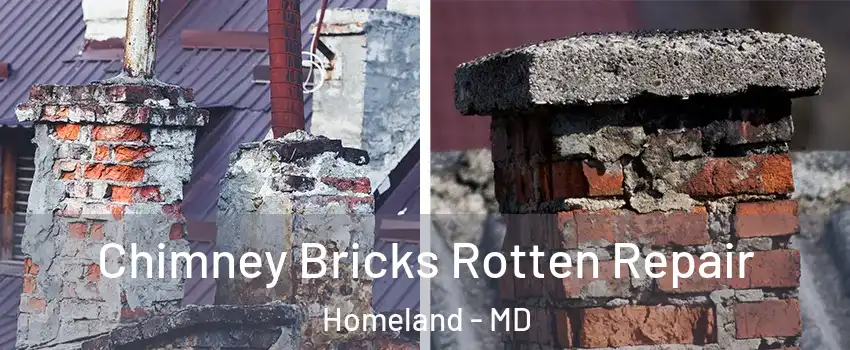 Chimney Bricks Rotten Repair Homeland - MD