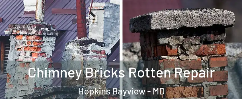 Chimney Bricks Rotten Repair Hopkins Bayview - MD
