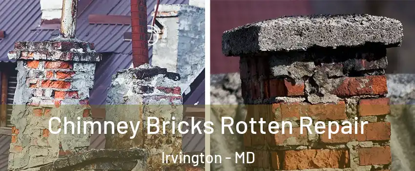 Chimney Bricks Rotten Repair Irvington - MD