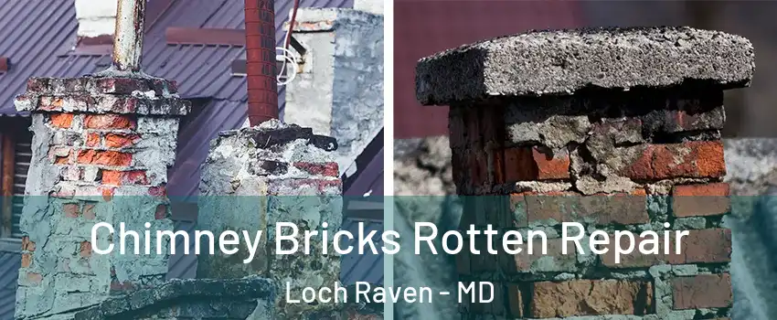 Chimney Bricks Rotten Repair Loch Raven - MD
