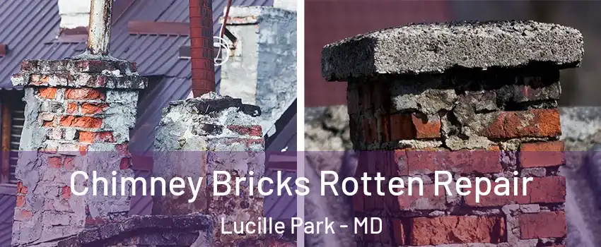 Chimney Bricks Rotten Repair Lucille Park - MD