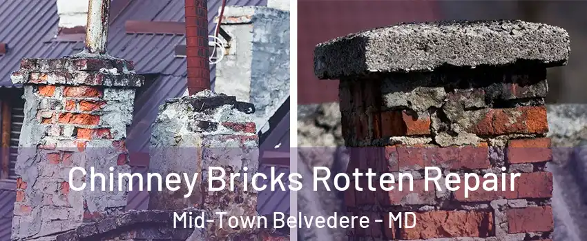 Chimney Bricks Rotten Repair Mid-Town Belvedere - MD