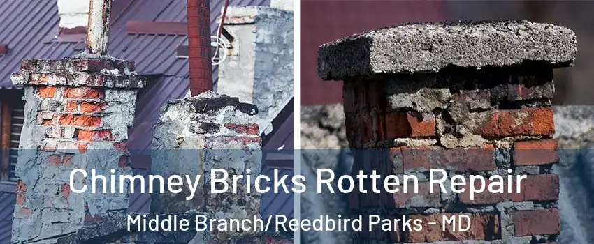 Chimney Bricks Rotten Repair Middle Branch/Reedbird Parks - MD
