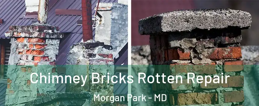 Chimney Bricks Rotten Repair Morgan Park - MD