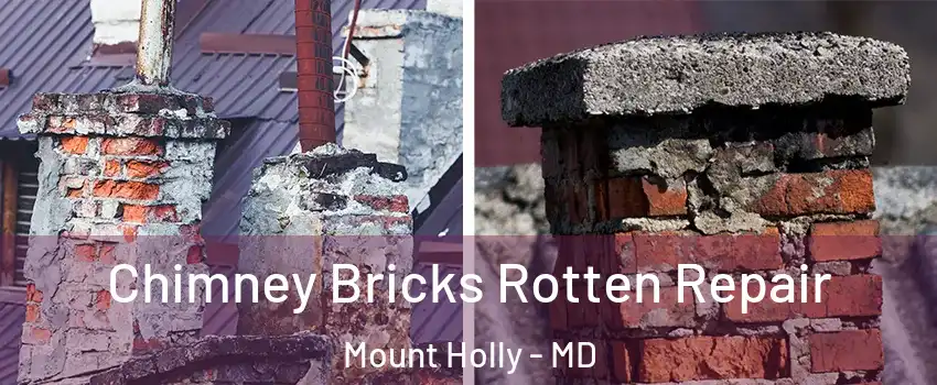 Chimney Bricks Rotten Repair Mount Holly - MD