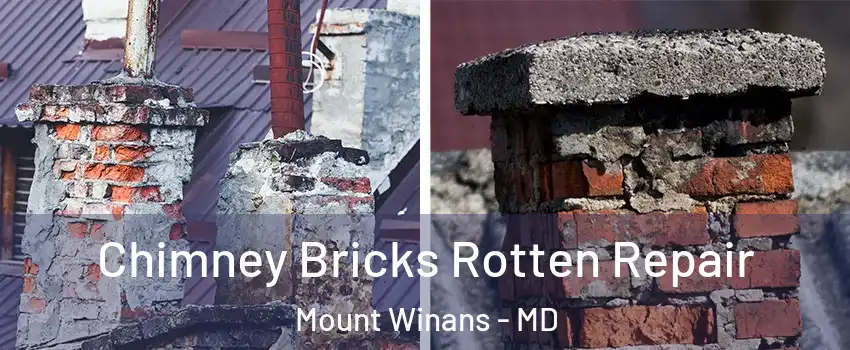 Chimney Bricks Rotten Repair Mount Winans - MD