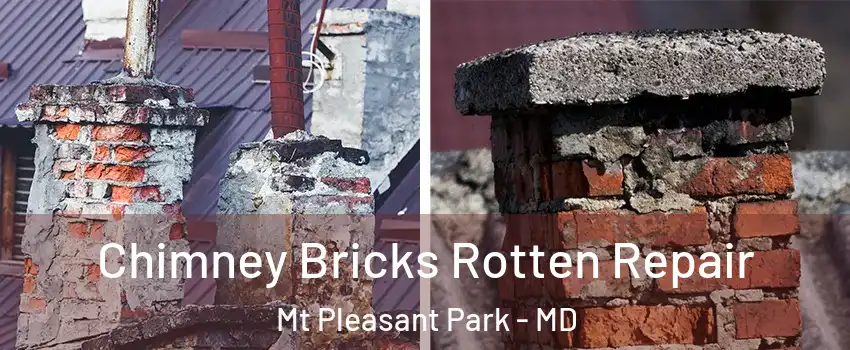 Chimney Bricks Rotten Repair Mt Pleasant Park - MD