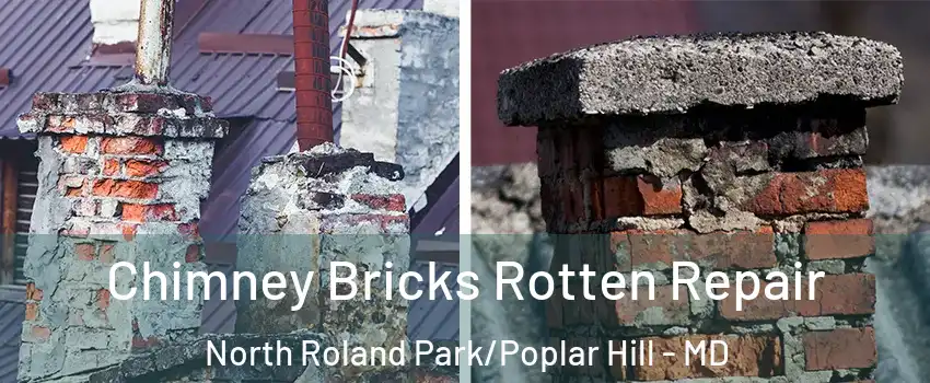 Chimney Bricks Rotten Repair North Roland Park/Poplar Hill - MD