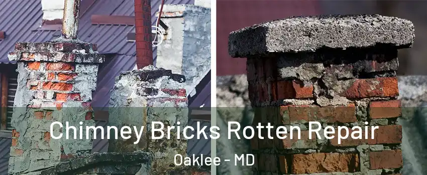 Chimney Bricks Rotten Repair Oaklee - MD