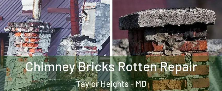 Chimney Bricks Rotten Repair Taylor Heights - MD