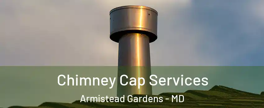 Chimney Cap Services Armistead Gardens - MD