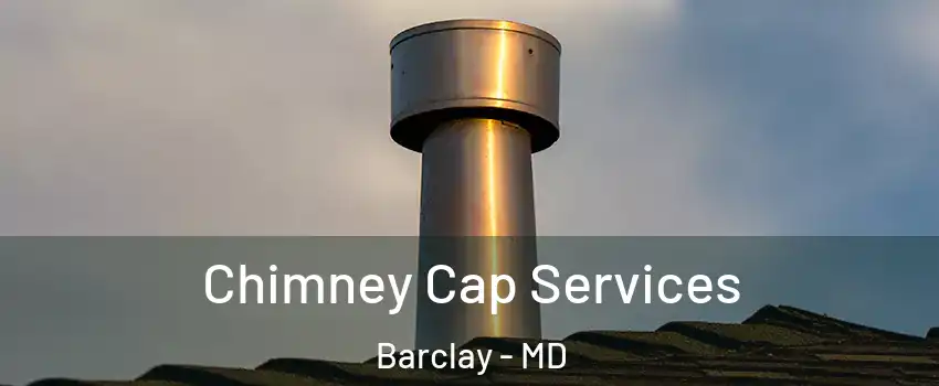 Chimney Cap Services Barclay - MD