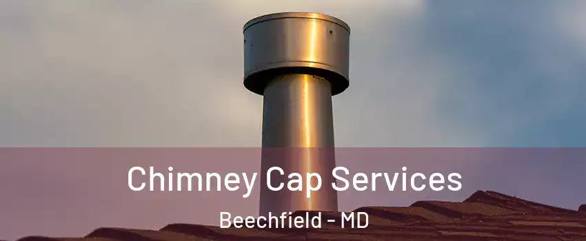 Chimney Cap Services Beechfield - MD