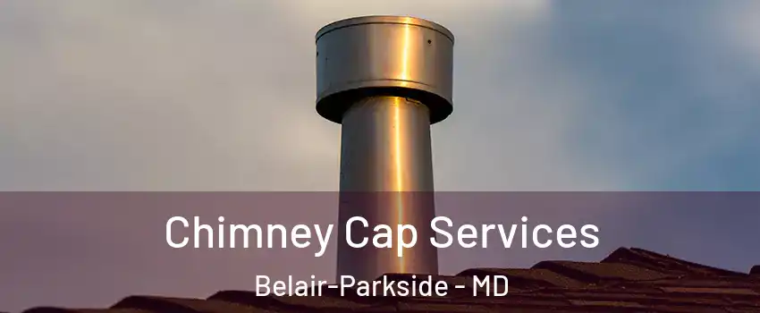 Chimney Cap Services Belair-Parkside - MD