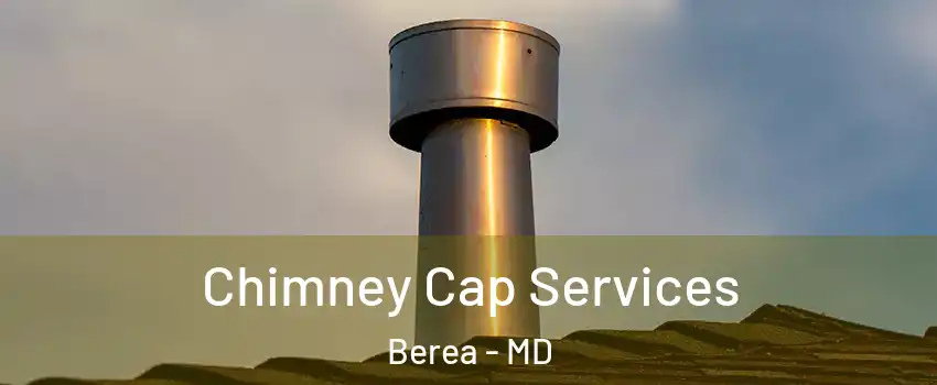 Chimney Cap Services Berea - MD