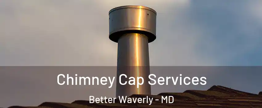 Chimney Cap Services Better Waverly - MD